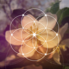 Sacred Geometry and Sound Training: April 15, 2023