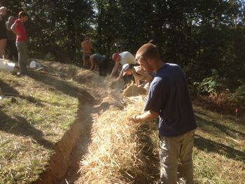 Mulching the swale berm
