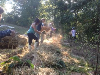 Mulching a swale berm
