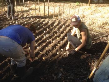 Permaculture gardening practical
