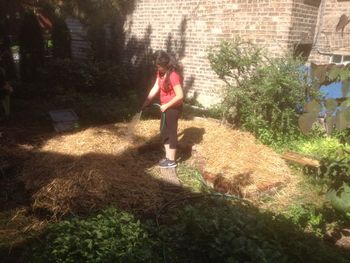 Raised keyhole bed build: watering the mulch in
