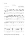 Microtonal Guitar for standard guitar with added frets Vol.I by Fernando Perez & Tolgahan Çogulu (ebook/PDF & audios)