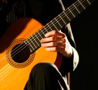 Online World Music Guitar 4 Lessons Pack with Fernando Perez