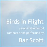 Birds in Flight by Bar Scott