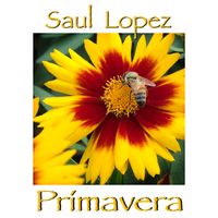 Primavera de Saul Lopez 