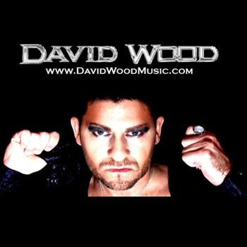 David_Wood_2016_Promotion2
