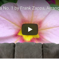 Sofa No. 1 by Frank Zappa and Arr by Frank Zappa, Arranged by Jason Camelio