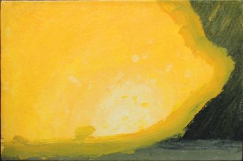 Lemon by Lee Jaworek 23x17x2, Framed Acrylic on Canvas
