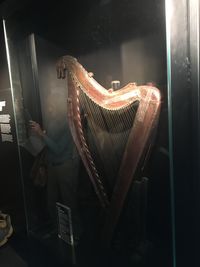 Gala Concert: Masters of Irish Music - Scoil na gCláirseach, Festival of Early Irish Harp