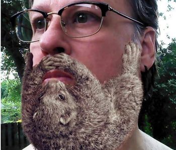 Better Than  Badger Beard Ferret Beard
