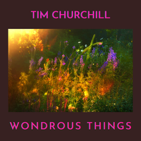 Wondrous Things by Tim Churchill