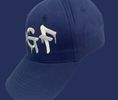 Blue IDGF Strap back