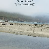 Secret Beach by Barbara Graff