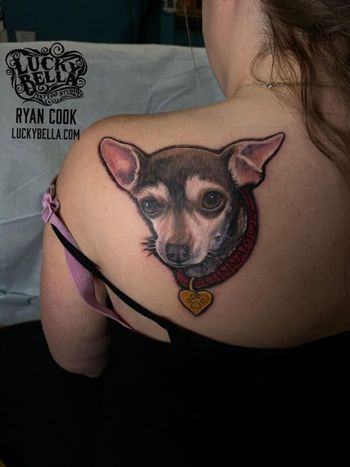 Pet Chihuahua Portrait by Ryan Cook at Lucky Bella Tattoos in North Little Rock
