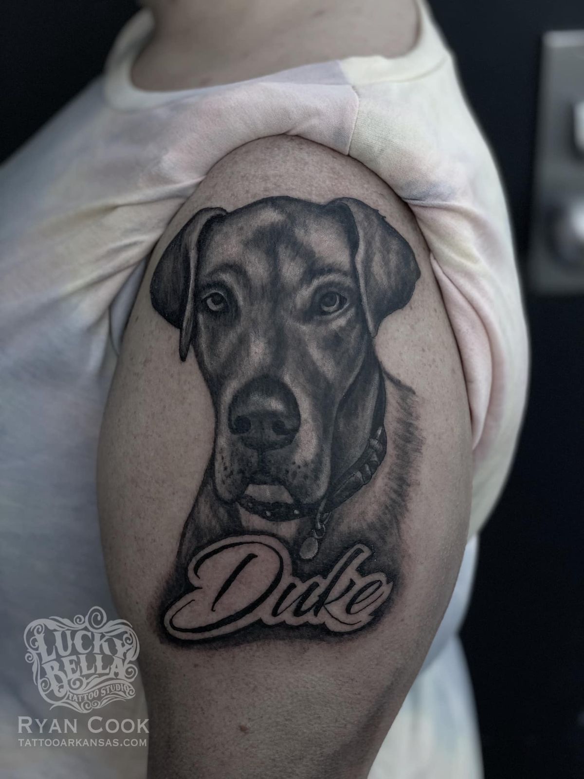 My sweet dog Scarlet by Sam Little at American Crow Tattoo in Columbus, OH  : r/tattoos