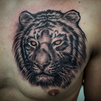 Tiger on Chest by Howard Neal at Lucky Bella Tattoos in North Little Rock, Arkansas
