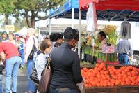 Bayfair Farmers Market