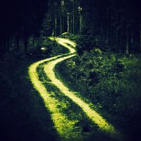 Wandering Path by Dlay
