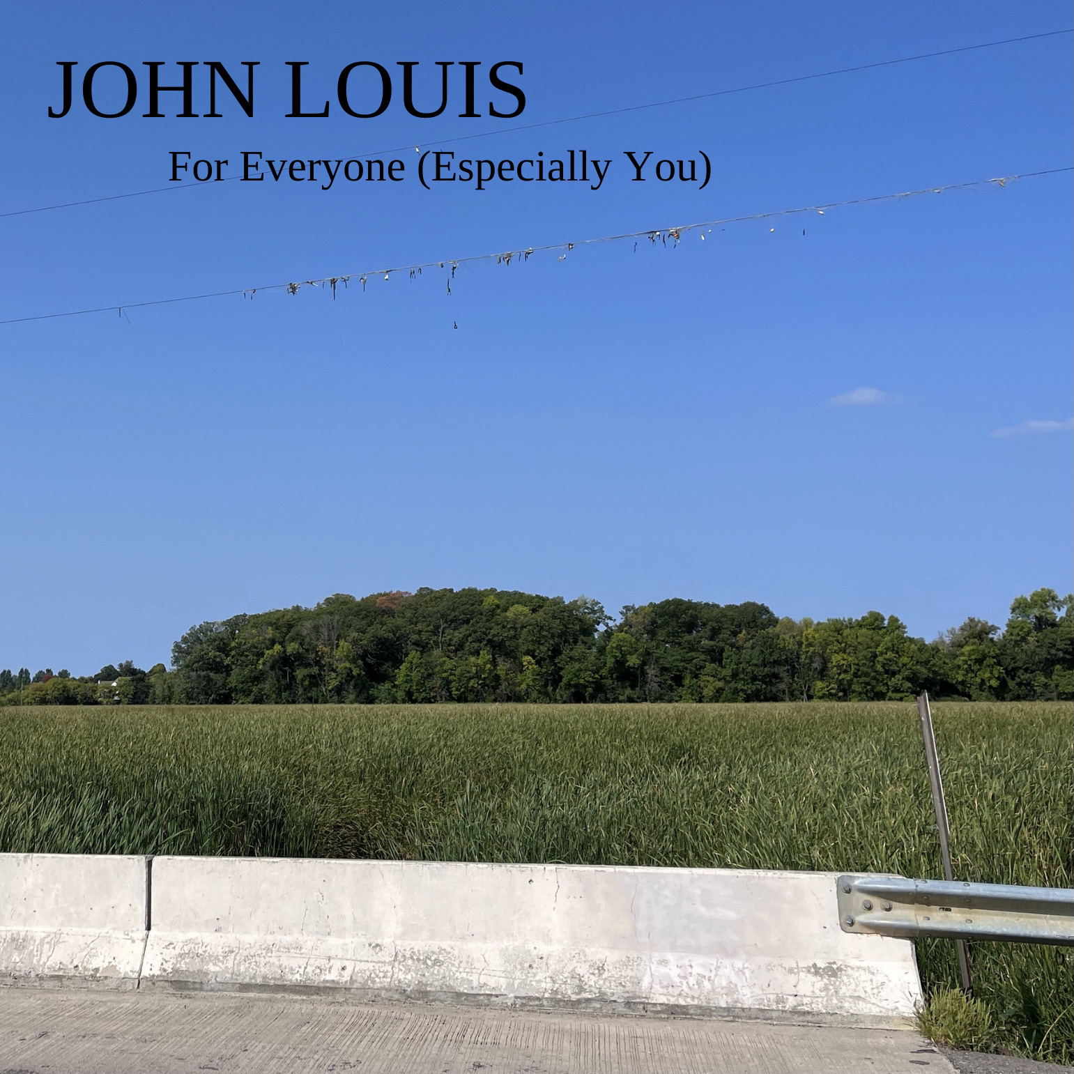 JOHN LOUIS