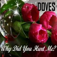 Why Did You Hurt Me? by The Doves