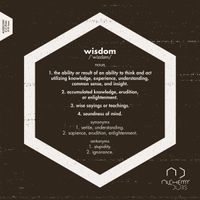 Wisdom - ALDBS12001 by Ojah