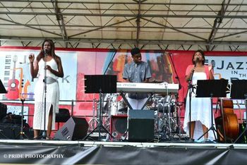 Joshua David at Jazz In The Park(3)  2015
