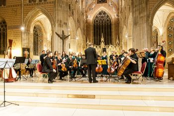 A View of the Cross: Concert for Palm Sunday in St. Patrick's Cathedral, Armagh (7) Eamonn Dougan prepares to conduct the Faure Requiem
