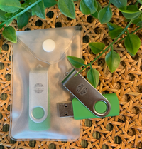 16 GB Swing USB with Willowgreen Logo: Contains 5 Willowgreen Albums