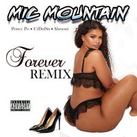 Forever (Remix) feat. Prince Po, CrDnlSn & Ahmoni by Mic Mountain