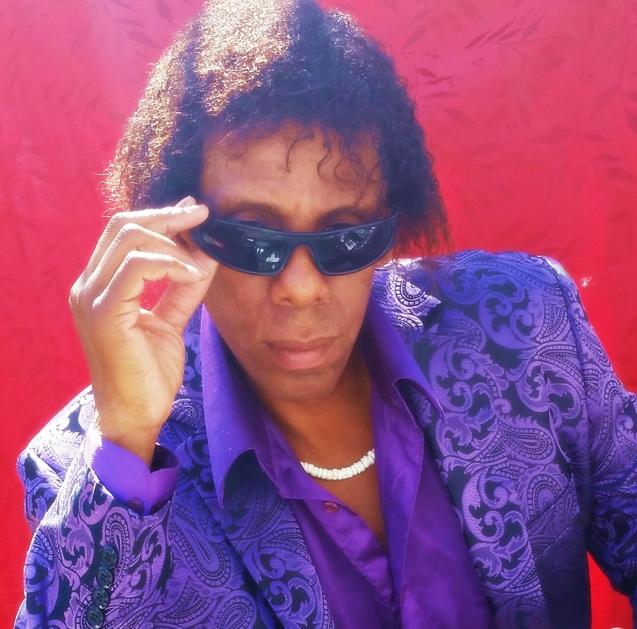 Lee Rolark drolarkmusic.com - Bio