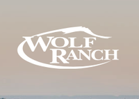 SofaKillers Play Wolf Ranch!