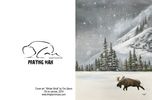 Christmas Greeting Cards