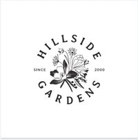 SofaKillers Return to Hillside Gardens!