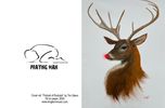 Christmas Greeting Cards