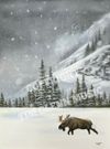 Winter Stroll