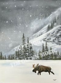 Winter Stroll