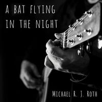 A Bat Flying in the Night by Michael R. J. Roth