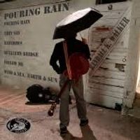 Pouring Rain by Randall K. Walker