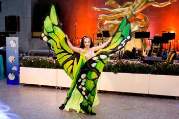 Belly Dancer
