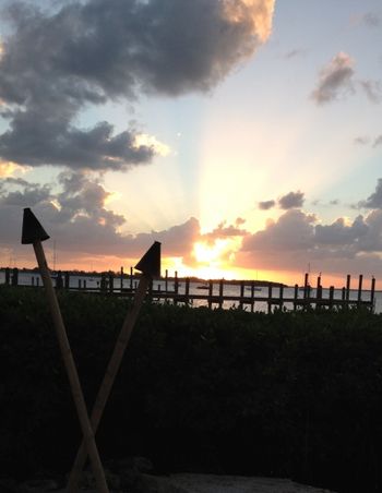 Snappers Florida Keys
