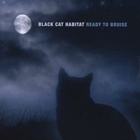 Ready to Bruise by Black Cat Habitat