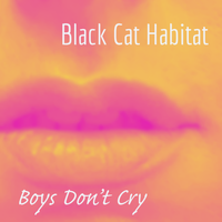 Boys Don't Cry by Black Cat Habitat