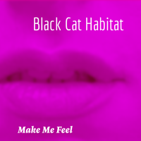 Make Me Feel by Black Cat Habitat