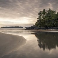 Tofino by Station 16