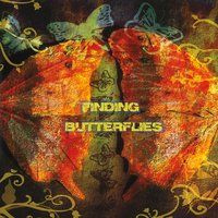 Finding Butterflies by Finding Butterflies