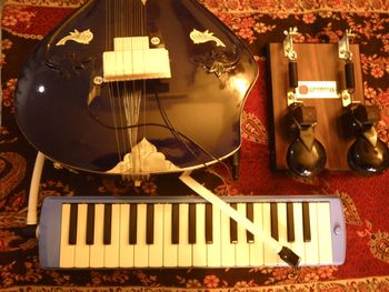 Electric sitar, castanets, melodica

