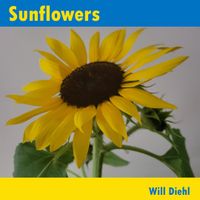 Sunflowers by Will Diehl