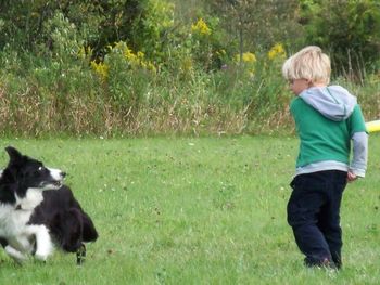 Five yr old Jeffrey competing with Twizz at a disc dog competition 2010
