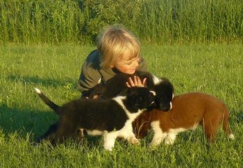 Jeffrey and Puppies
