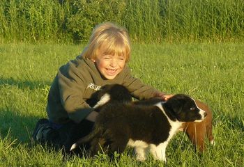 Jeffrey and puppies
